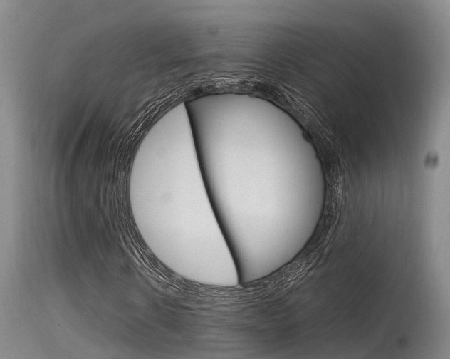 X0000115760914200911130956