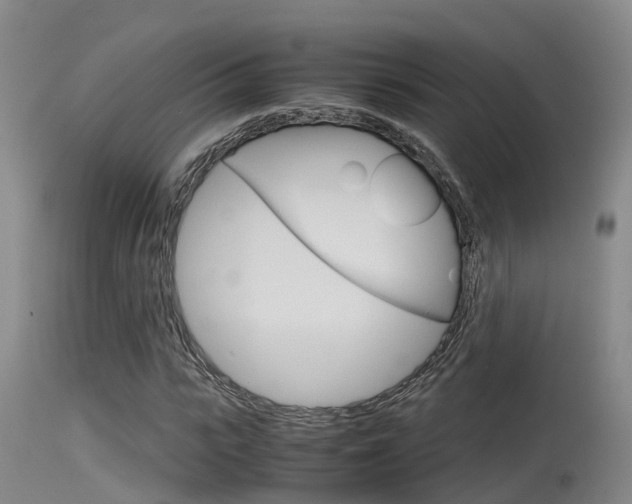 X0000115760919200911130956
