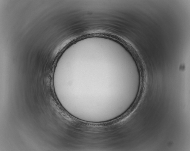 X0000115760921200911130956