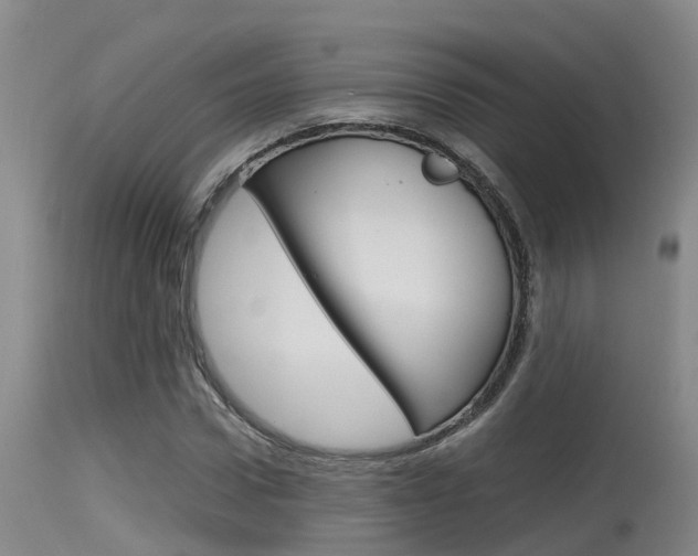 X0000115760922200911130956