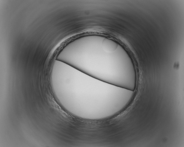 X0000115760923200911130956