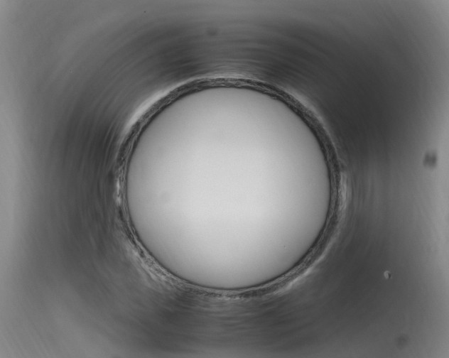 X0000115760925200911130956
