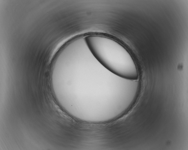 X0000115760926200911130956
