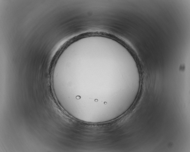 X0000115760927200911130956