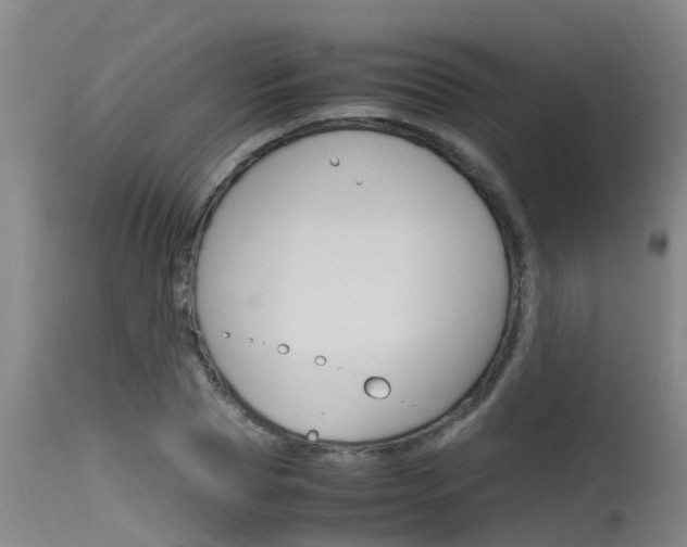 X0000115760929200911130956