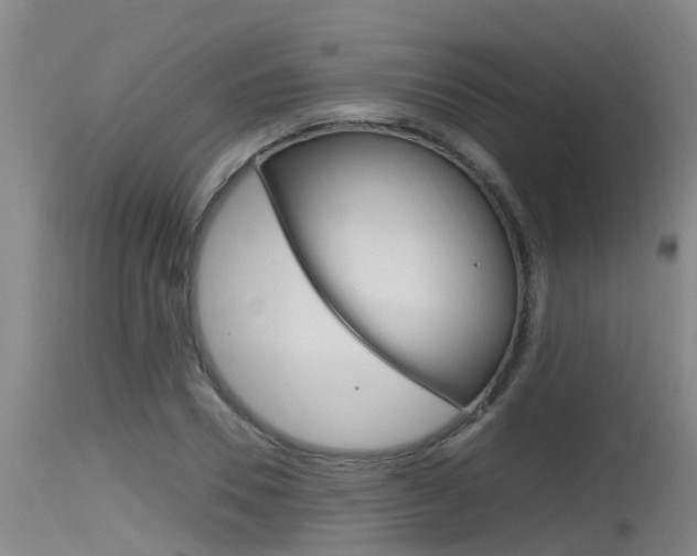 X0000115760930200911130956