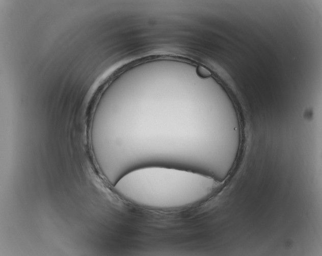 X0000115760931200911130956