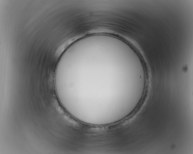 X0000115760937200911130956