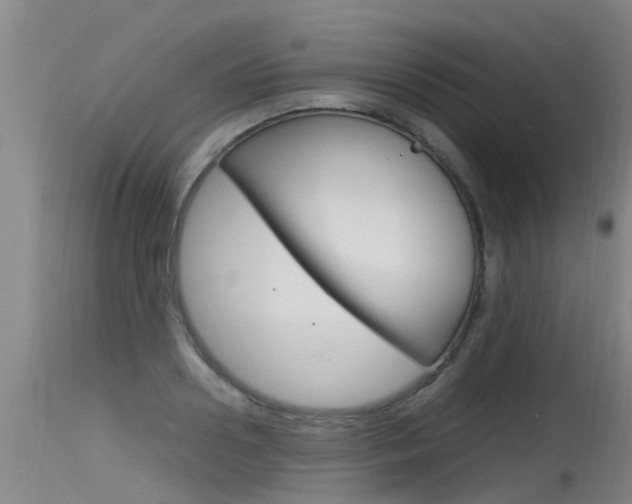 X0000115760938200911130956