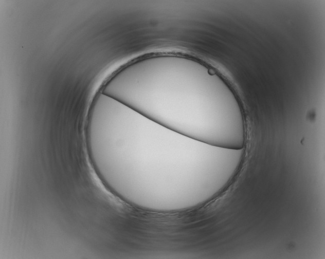 X0000115760943200911130957