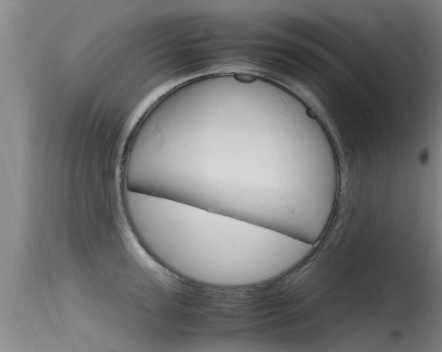 X0000115760947200911130957