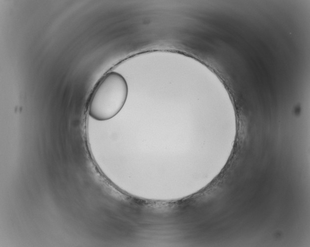 X0000115760950200911130957