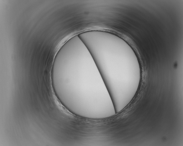 X0000115760954200911130957