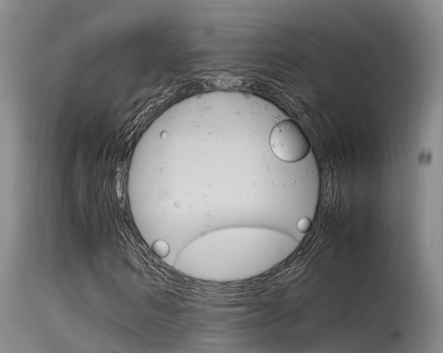 X0000115760962200911130956