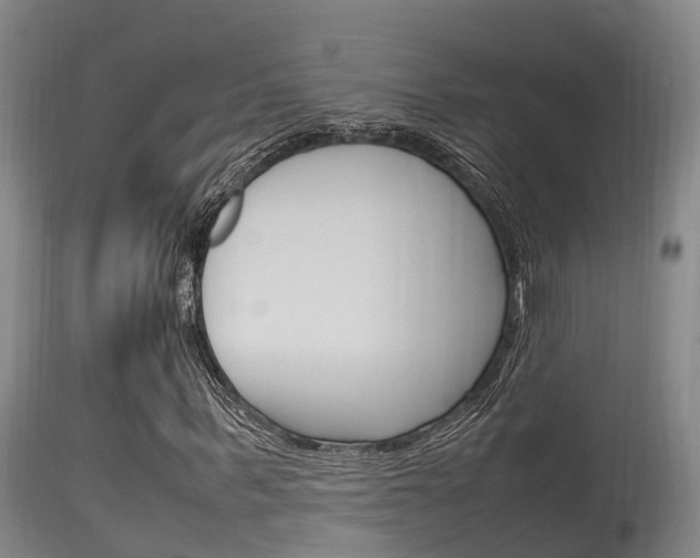 X0000115760963200911130956
