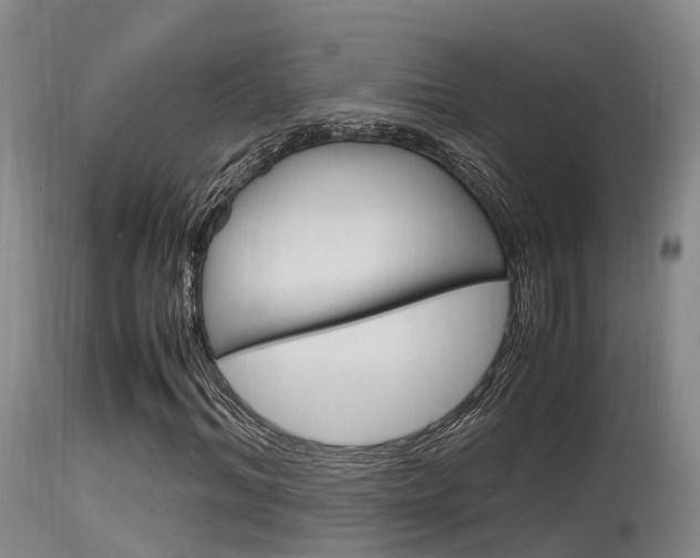 X0000115760964200911130956