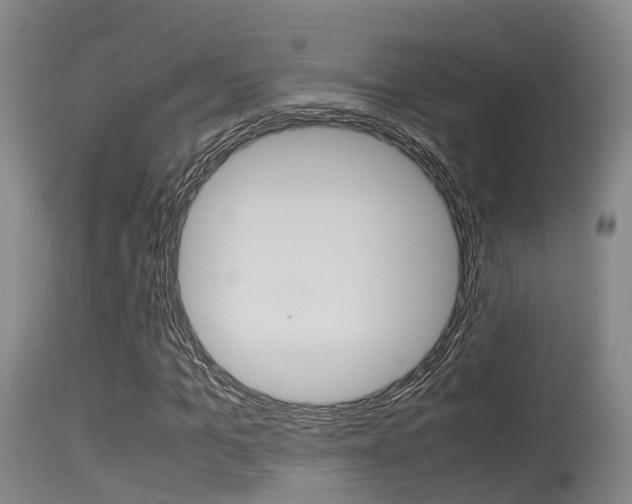 X0000115760965200911130956