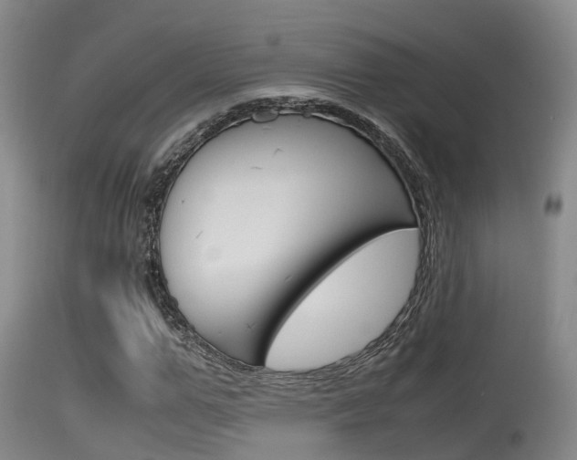 X0000115760967200911130956