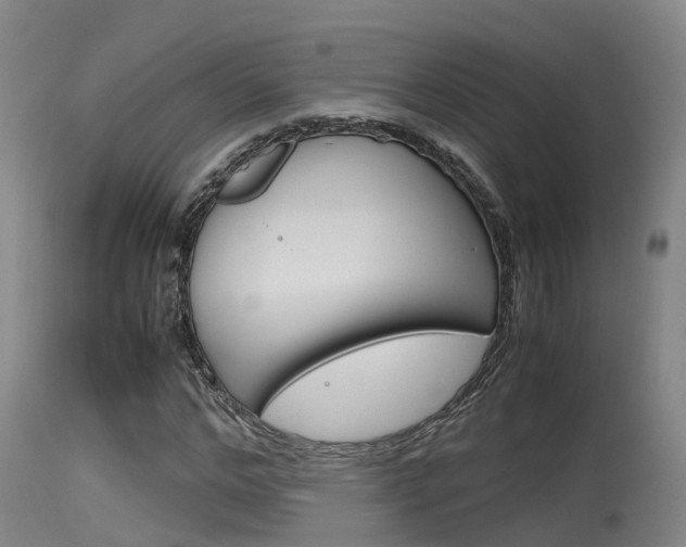 X0000115760968200911130956
