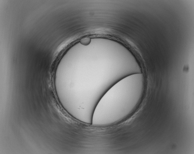 X0000115760970200911130956