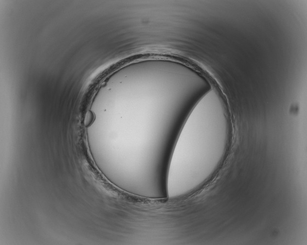 X0000115760971200911130956