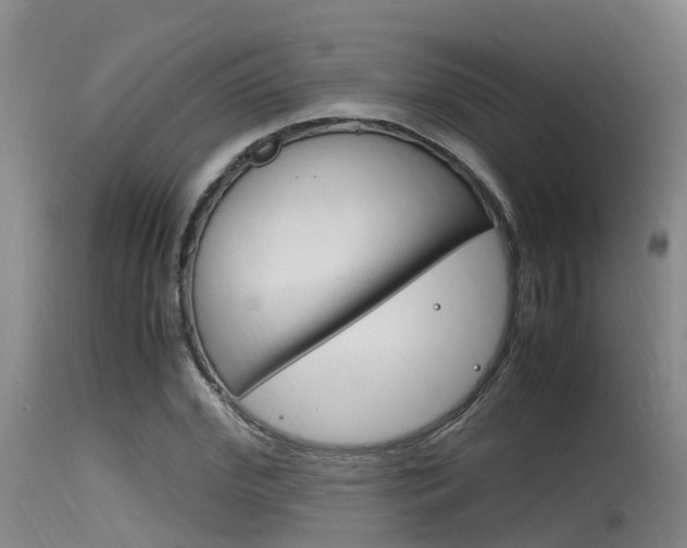 X0000115760972200911130956