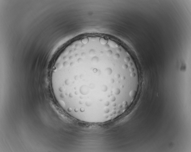 X0000115760974200911130956