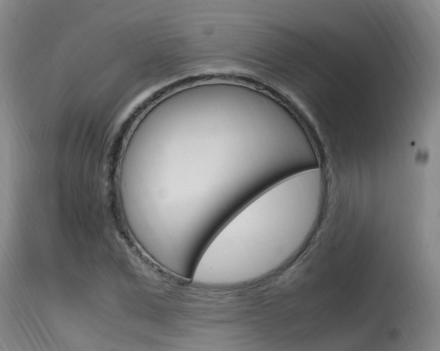 X0000115760975200911130956