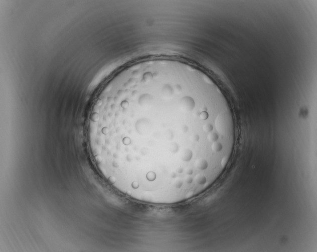 X0000115760978200911130956