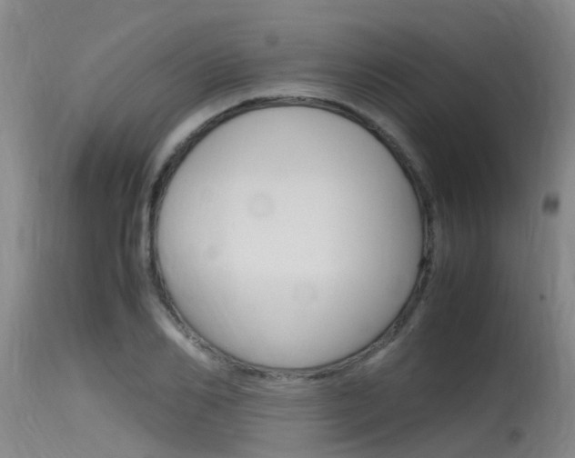 X0000115760982200911130956