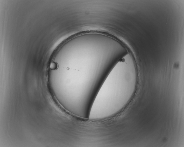 X0000115760983200911130956