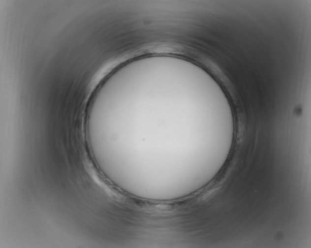 X0000115760986200911130956
