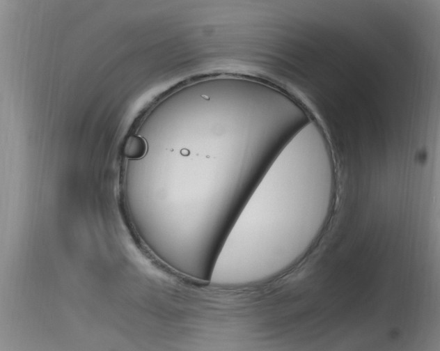 X0000115760987200911130956