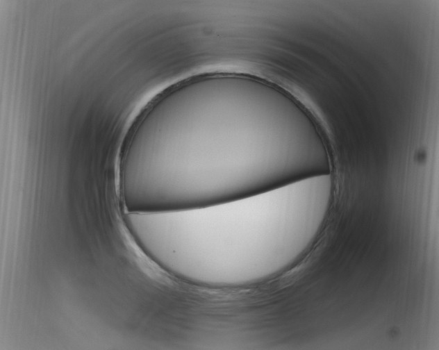 X0000115760988200911130956