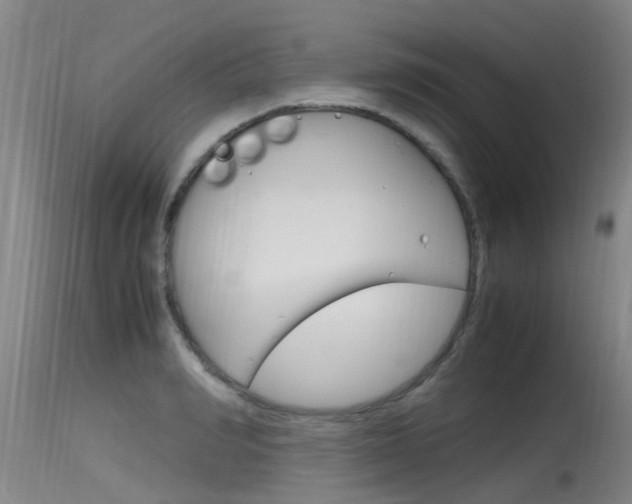 X0000115760990200911130956