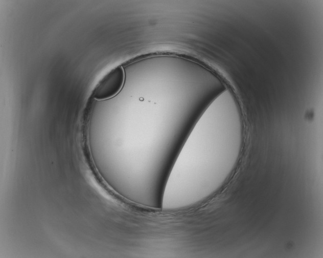 X0000115760991200911130956
