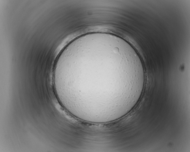 X0000115760994200911130956