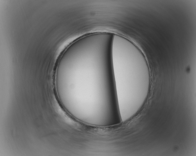 X0000115760995200911130955