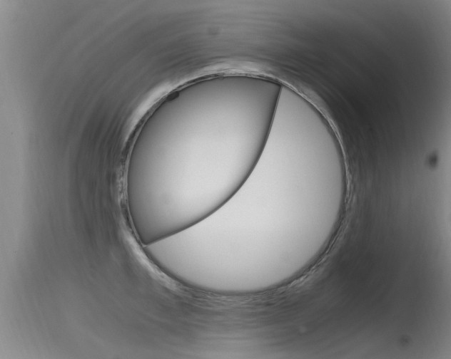 X0000115760997200911130955