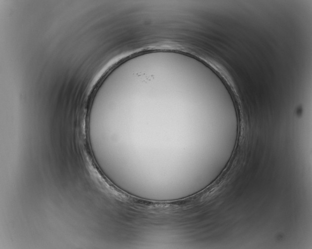 X0000115761000200911130955