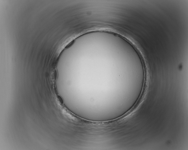 X0000115761001200911130955