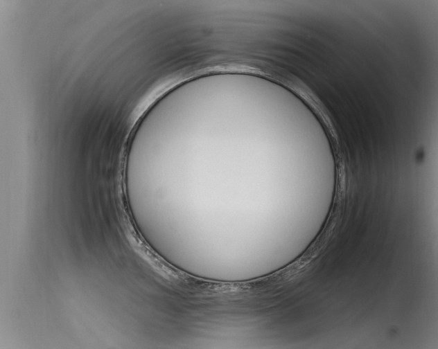 X0000115761002200911130955