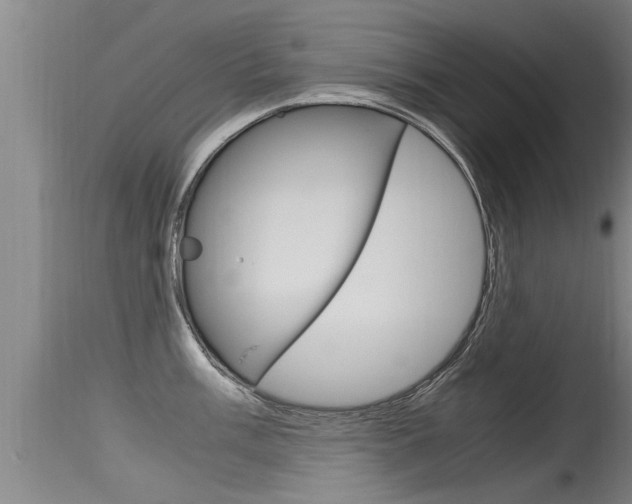 X0000115761003200911130955