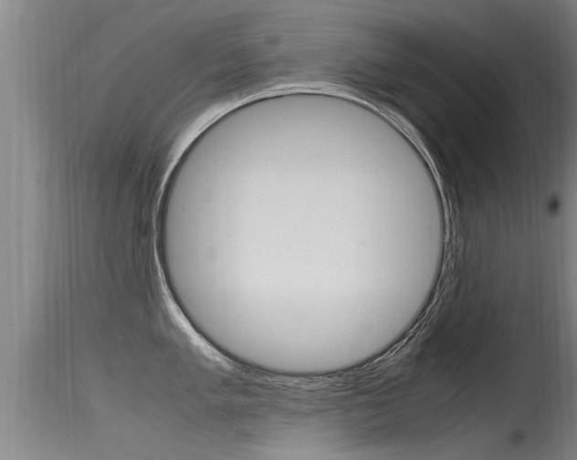 X0000115761005200911130955