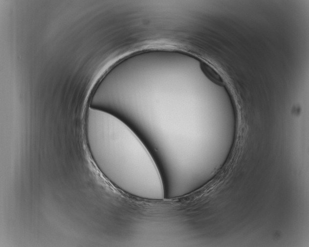X0000115761008200911130955