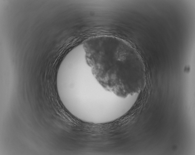 X0000115761009200911130954
