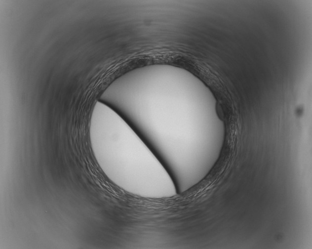 X0000115761010200911130954