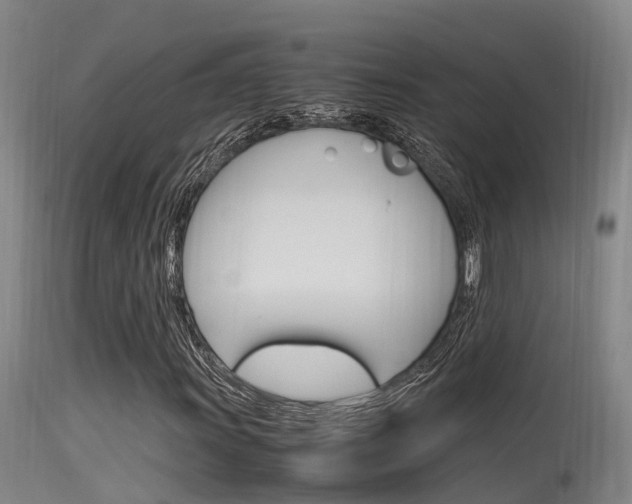 X0000115761011200911130955