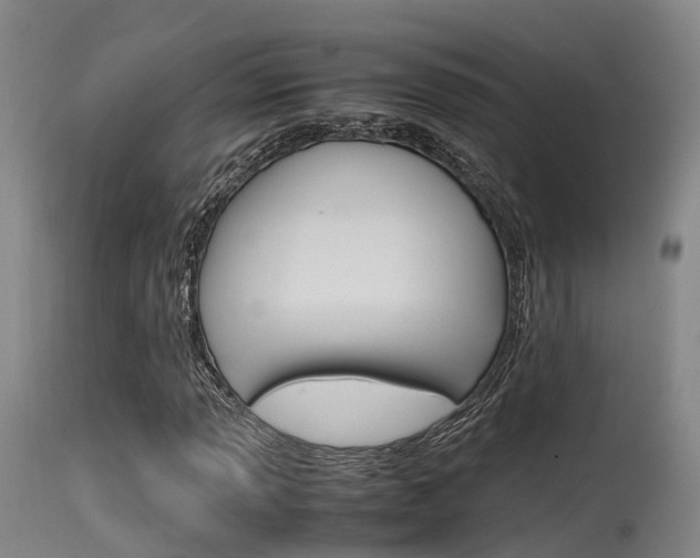 X0000115761013200911130955