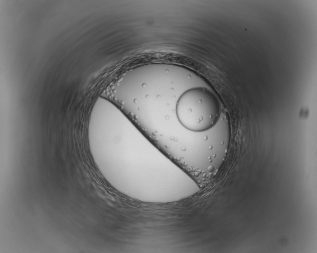 X0000115761014200911130955